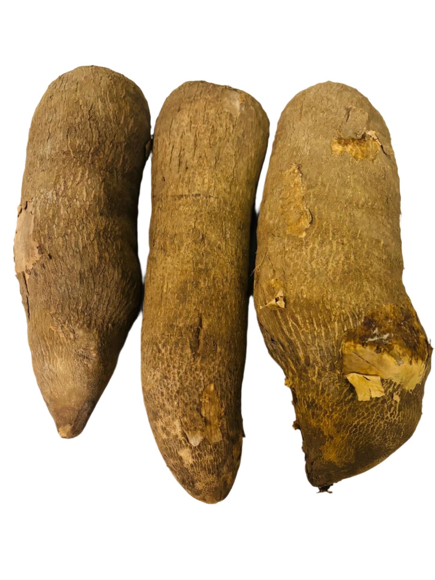 Fresh Yam Ghana Tuber
