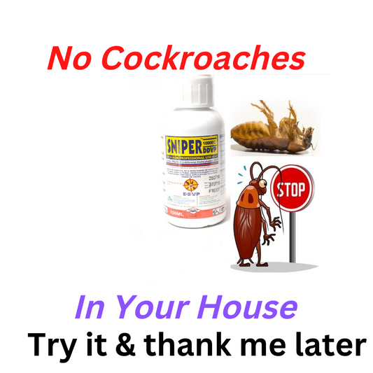 The best ways to treat cockroaches in your house